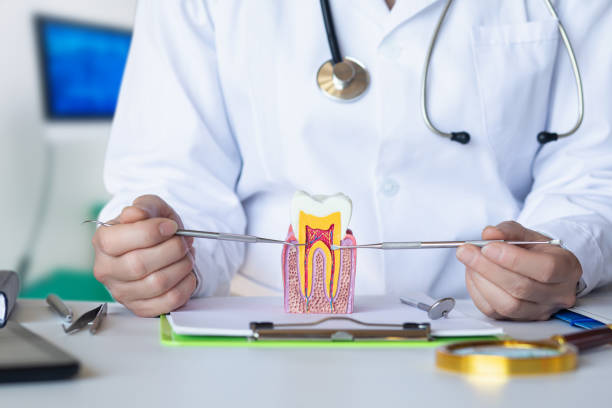 Best Emergency Dentist for Special Needs Patients in Gratton, VA